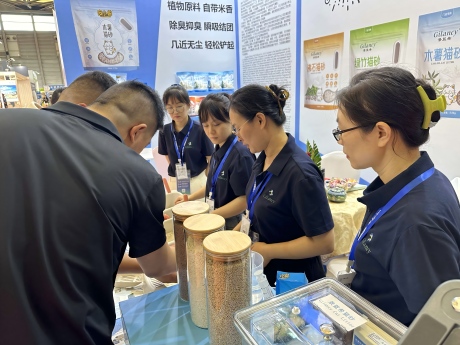 每一次亮相，皆为焦点｜青岛景蓝希，凭实力圈粉各大宠物展会！